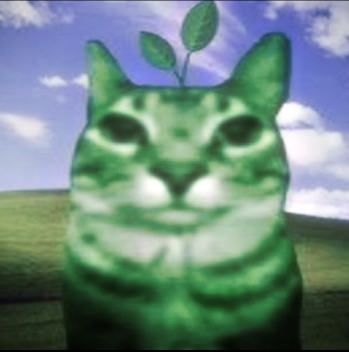 niggaMilyoner31 Avatar